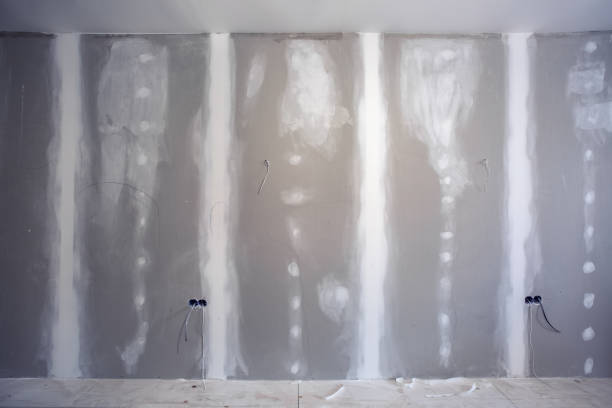 Best Mold Prevention Services  in USA